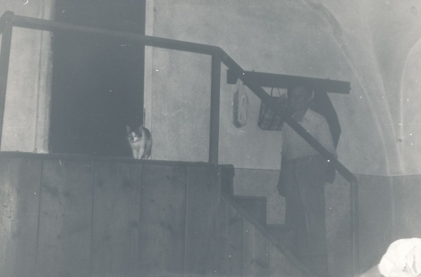 eika image